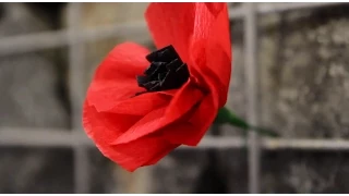 I Was Only 19 - The Lancer Band (Australian Army)