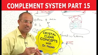 Complement System - Immunology - Part 15/18