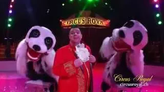 Circus Royal - Panda Panda