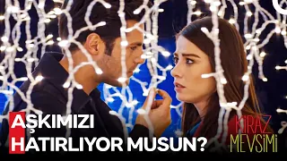 İmkansız Aşk Günlükleri #65 - Kiraz Mevsimi