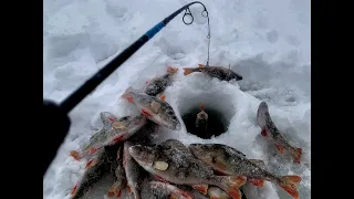 ТА САМАЯ ЛУНКА.....РУКИ ЗАДРОЖАЛИ ОТ РАДОСТИ!! Рыбалка, первый лед 2023-2024.Окунь на балансир.