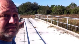 Florida Panther Encounter in the Big Cypress area of the Everglades