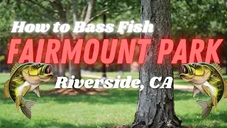 Bass Fishing at Fairmont Park | Riverside, CA | TIPS and TRICKS on how I fish this lake ! 🎣