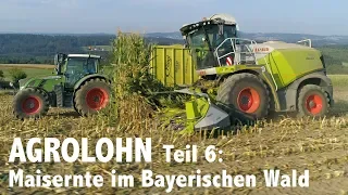 Lohnunternehmen Agrolohn: Maisernte im Bayerischen Wald