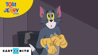Tom ve Jerry | Komşular | Cartoonito Türkiye
