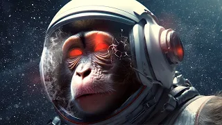 What Happened To The Animals We Sent To Space?