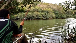 PESCARIA DE PIAU, SAICANGA, CARA, E UM FRITO DE LAMBARI PRA BOCA VIRAR UM CORGO. Pesca