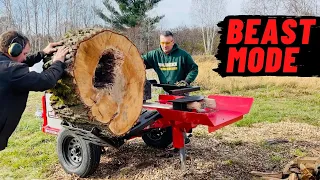 This LOG SPLITTER is an ANIMAL