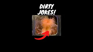 DIRTY Jokes In SpongeBob Part 5 #shorts