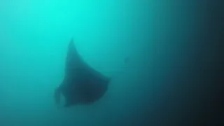 Surprises in Scuba Diving