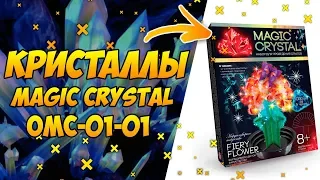 MAGIC CRYSTAL OMC 01 01 | Делаем кристаллы дома из набора для опытов Danko Toys