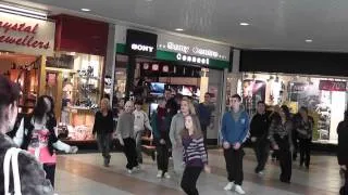 Flash Mob by the fountain at Blanchardstown Shopping Centre...