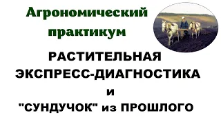 Растительная экспресс-диагностика и "сундучок" из прошлого.