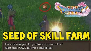 Dragon Quest XI How To Farm Infinite SEEDS OF SKILL Guide (Dragon Quest 11)