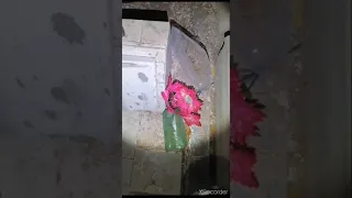 communicating with the dead at a cemetery in mexico.