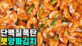 💚무깍두기 보다 맛있는 햇양파김치/ ○○이 들어가  물이 안 생겨요/ 단백질폭탄  감칠맛 폭발 아삭  절묘한 맛  완전꿀맛korean food  Korea Onion Kimchi