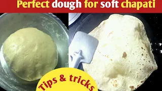 Perfect dough for soft chapati | soft chapati recipe | dough for soft chapati | tips for chapathi
