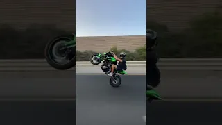 Z900 wheelie