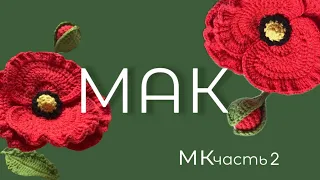 Мастер класс по вязанию МАКА крючком I часть 2