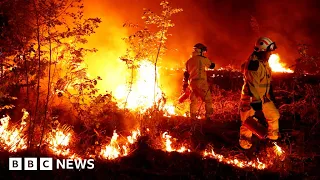 How wildfires could be stopped with technology - BBC News