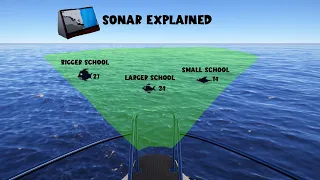 Russian Fishing 4 Sonar Explained