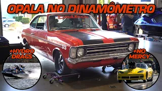 Brazilian OPALA TURBO on FuelTech USA hub dyno! + No Mercy and Hydro Drags jetski races!