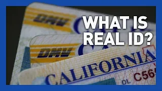 REAL ID Explained: Everything You Need to Know