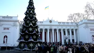 В Одессе зажгли огни на главной елке города