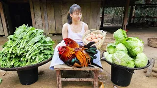 Harvesting Vegetable Garden & Chickens Goes to market to sell | Tiểu Vân Daily Life