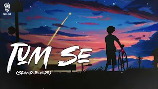 Tum Se | (Slowed & Reverb) | Shahid Kapoor, Kriti Sanon | MELEO