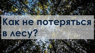 Как не потеряться в лесу?