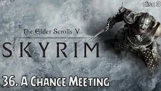 A Chance Meeting - The Elder Scrolls V: Skyrim Soundtrack