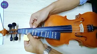 How to put violin fingerboard sticker! တယောမှာ စတီတာကပ်နည်း။