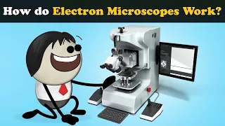 How do Electron Microscopes (Scanning) Work? + more videos | #aumsum #kids #science #education