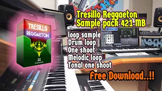 Free Download Tresillo Reggaeton Sample pack for DAW