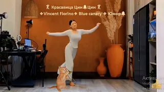 💘🔔🔔Танцует 💃💃💃 Красавица Цин🔔Цин 💃💃💃🔹️Vincent Fiorino🔹️ Blue canary 🔹️ Юмор🔔🔹️ Взаимный Автограф 🔔🔔🔔