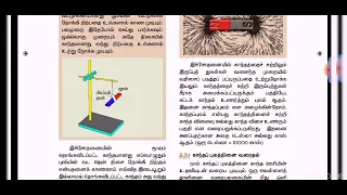 8th Std Science | Kanithaviyal | காந்தவியல் | Term 3 | part 2