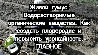 От чего зависит урожай плодородие почвы. Органические удобрение ГЛАВНОЕ что?