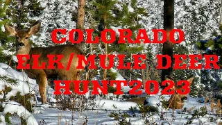 Colorado Elk/Mule Deer Hunt 2023