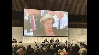 На пленарном заседании ПА ОБСЕ идут горячие обсуждения поправок к резолюции