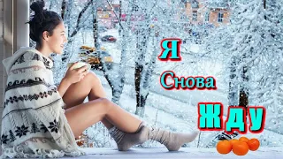 Бесподобная ПЕСНЯ! Послушайте не ПОЖАЛЕЕТЕ! Я Снова Жду!