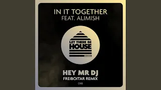 Hey Mr DJ (Freiboitar Remix)