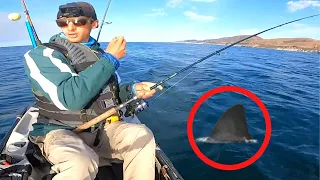 6 Shark Encounters You You Will NEVER Forget