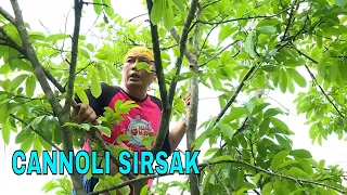 CANNOLI SIRSAK | JEJAK SI GUNDUL (06/06/23)