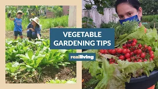 Vegetable Gardening Tips from Neri Miranda