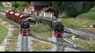 Die Harzer Schmalspurbahnen im Herbst 2022; The Harz narrow-gauge railways in autumn 2022