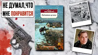 "Поднятая целина"/ Михаил Шолохов- Отзыв на книгу📚