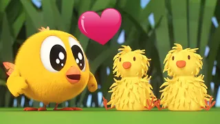 Where's Chicky? Funny Chicky 2023 | NEW LITTLE FRIENDS | Cartoon in English for Kids | New episodes