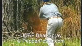 Bear Sprayed with UDAP Pepper Power Bear Deterrent