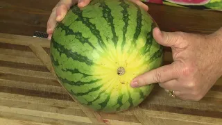 Picking the best Watermelon